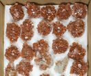 Lot: to Twinned Aragonite Clusters - Pieces #134140-2